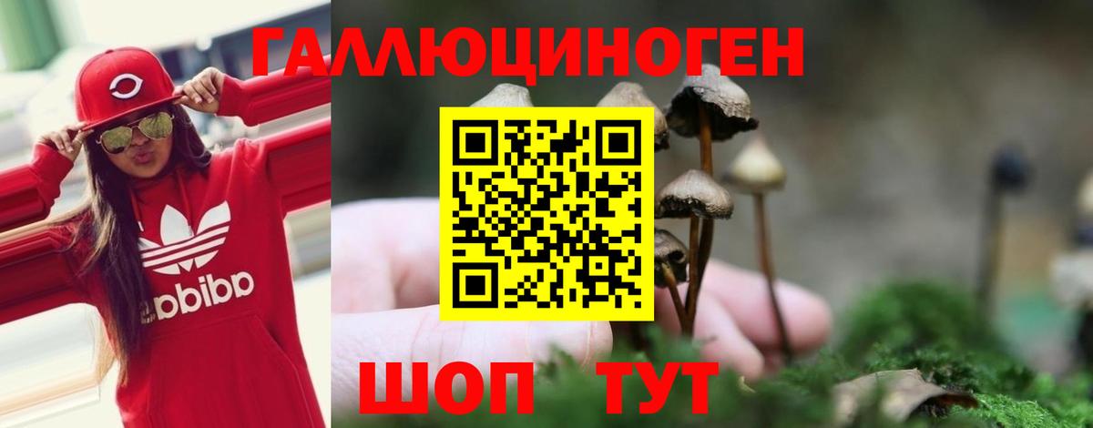 Псилоцибиновые грибы мицелий  Вход с VPN  Петрозаводск 